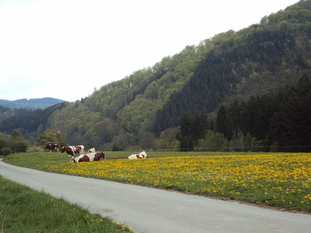 Gasthof Zum Diemeltal Marsberg Ngoại thất bức ảnh
