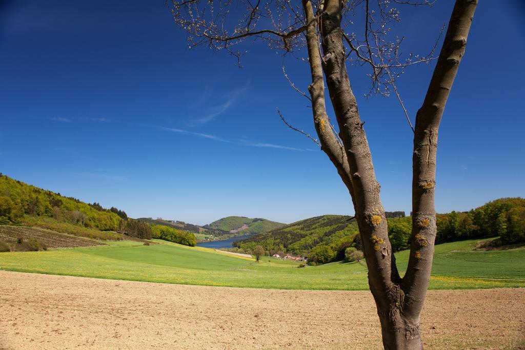 Gasthof Zum Diemeltal Marsberg Ngoại thất bức ảnh