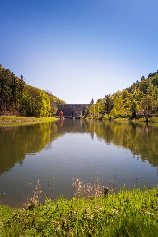 Gasthof Zum Diemeltal Marsberg Ngoại thất bức ảnh